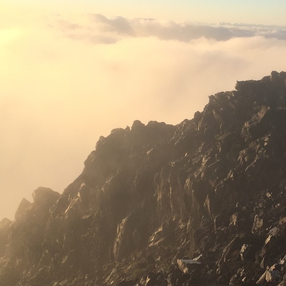 Meet your Posher, skyblue! - Picture 1 of 1